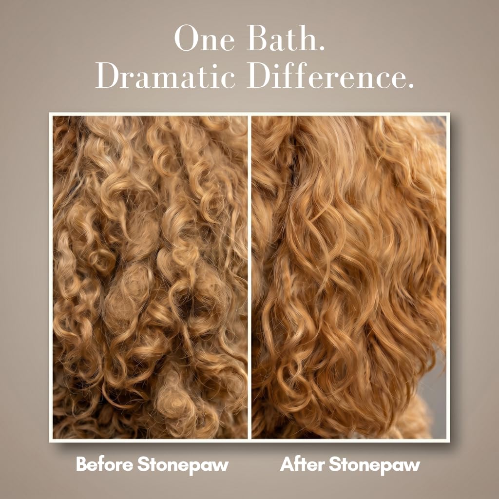 Lavender Dog Shampoo and Conditioner 16oz H89069