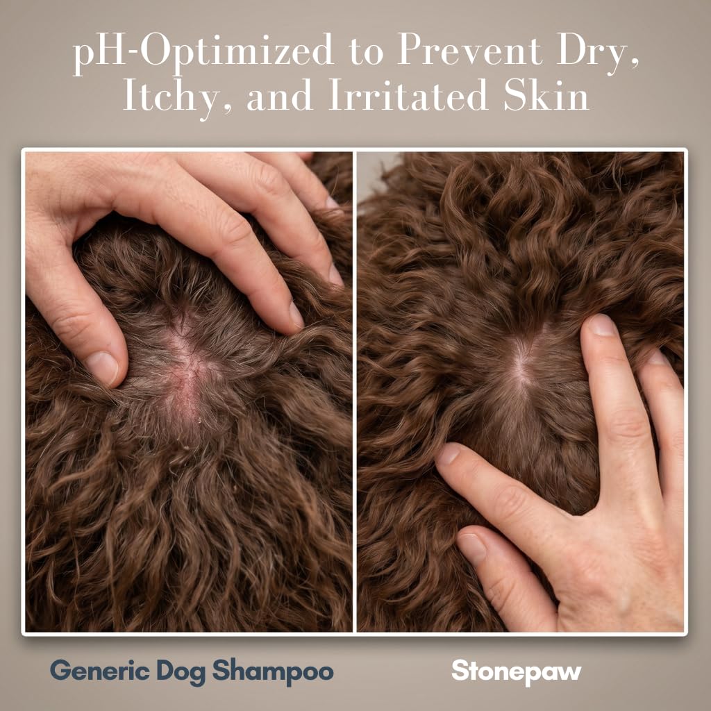 Lavender Dog Shampoo and Conditioner 16oz H89069