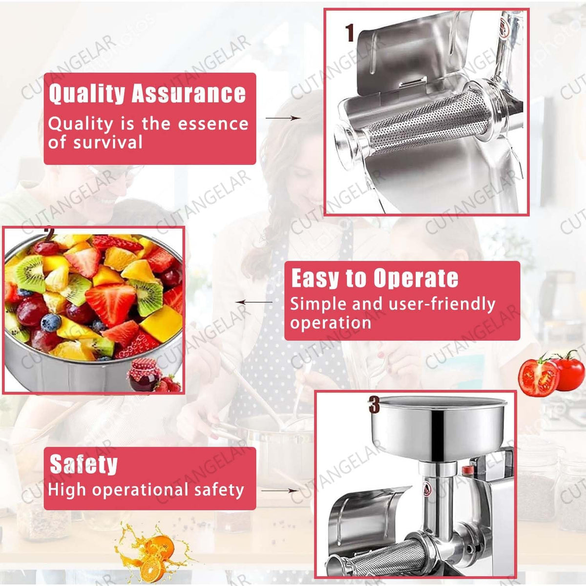 450W Stainless Steel Electric Jam Maker V6439
