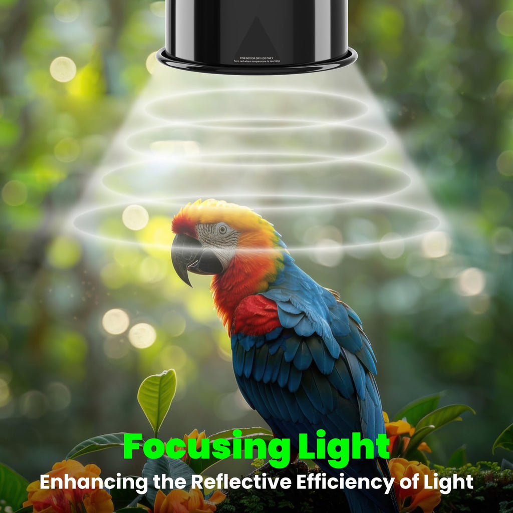 Deep Dome Lampshade with 2.4% UVB Bulb 20W W153698