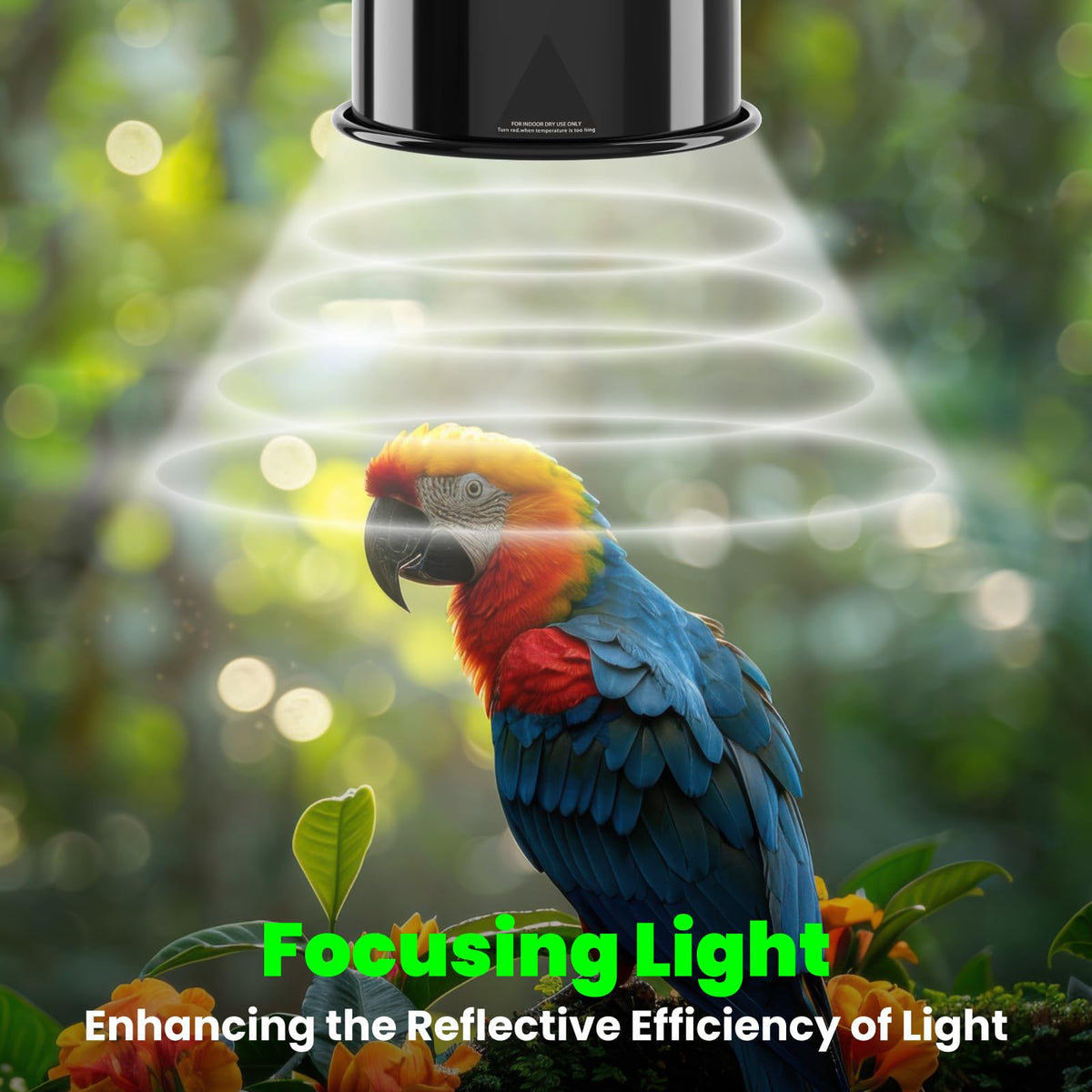 Deep Dome Lampshade with 2.4% UVB Bulb 20W W153698