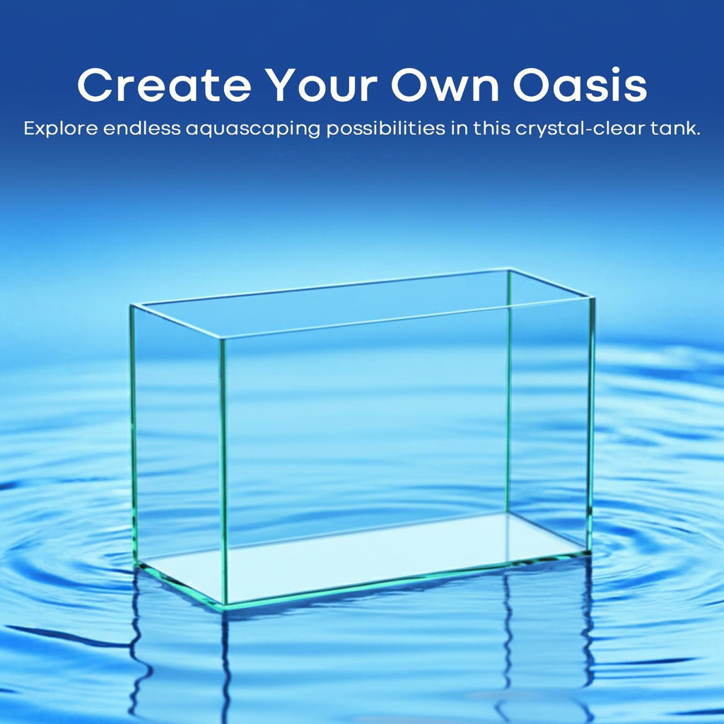 6 Gallon Glass Fish Tank Aquarium E7052