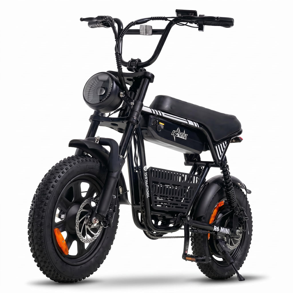 1000W Fat Tire Electric Bike with 48V 13Ah Battery Y316