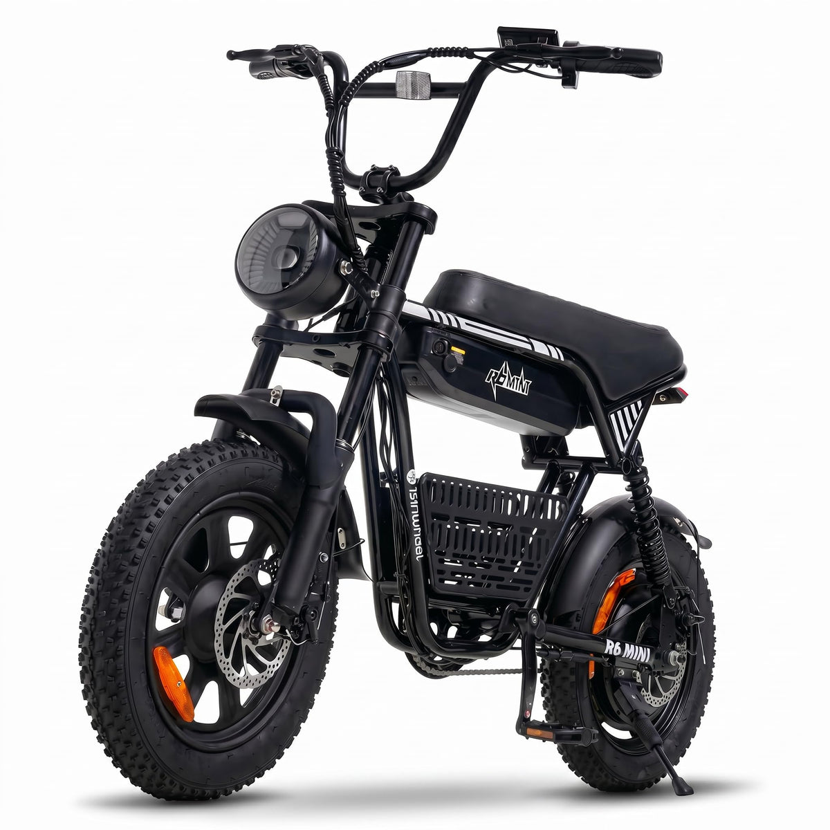 1000W Fat Tire Electric Bike with 48V 13Ah Battery Y316