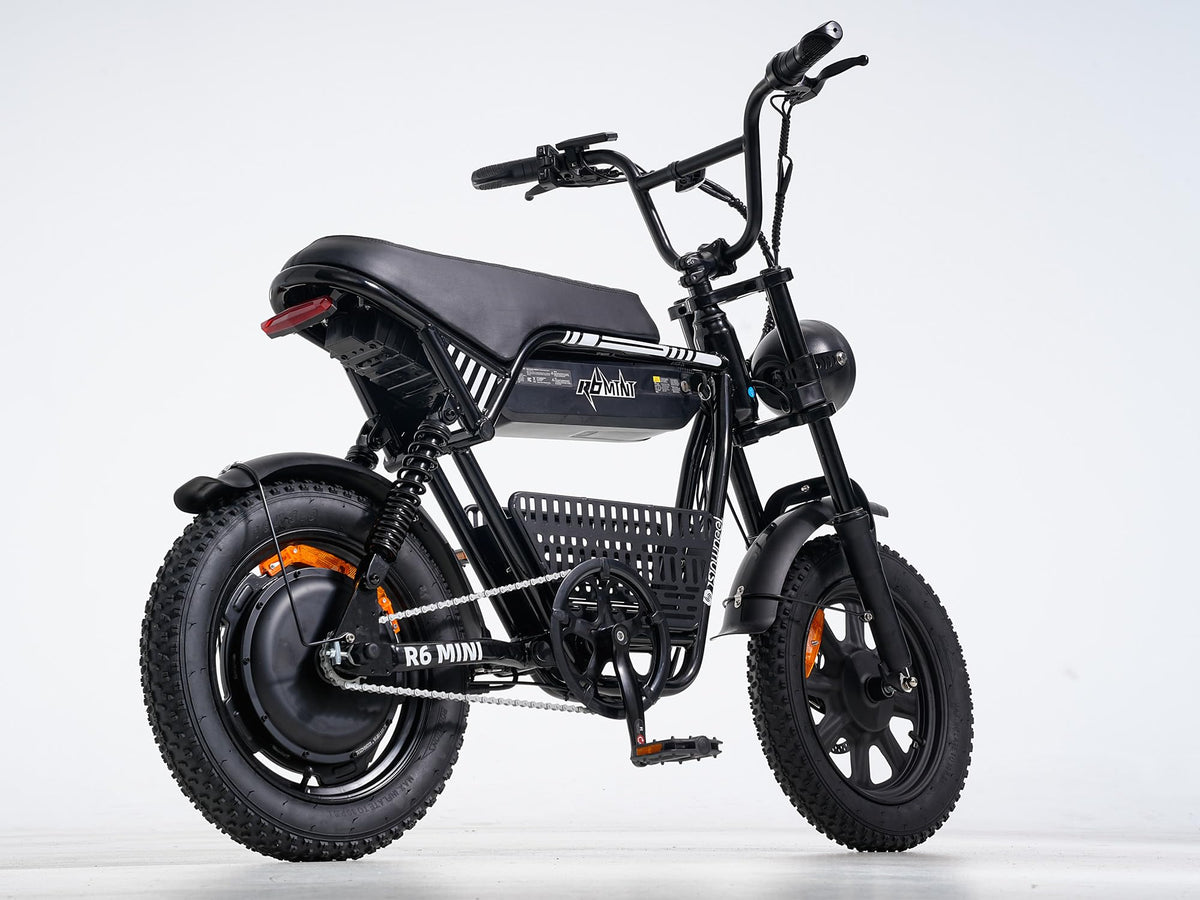 1000W Fat Tire Electric Bike with 48V 13Ah Battery Y316