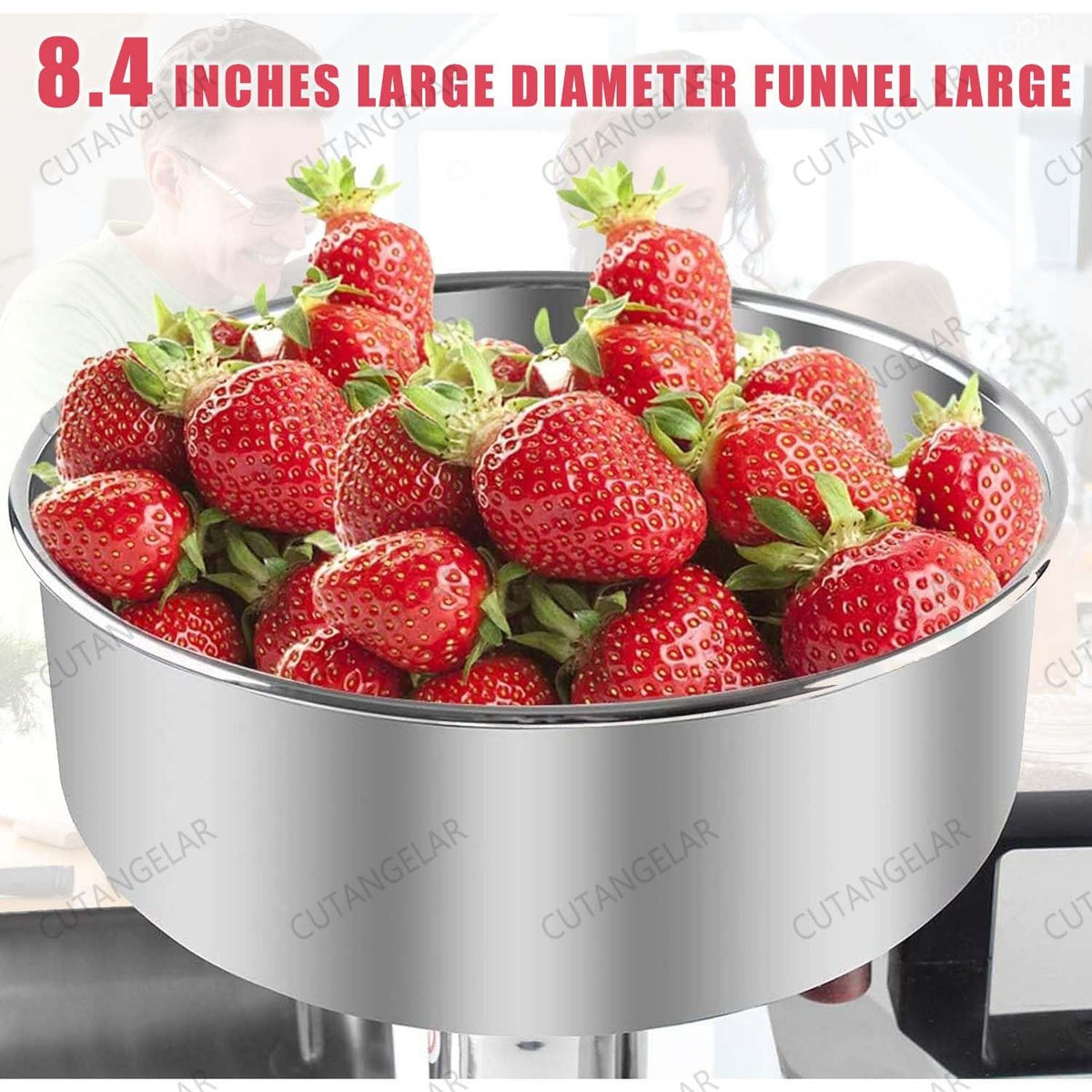 450W Stainless Steel Electric Jam Maker V6439