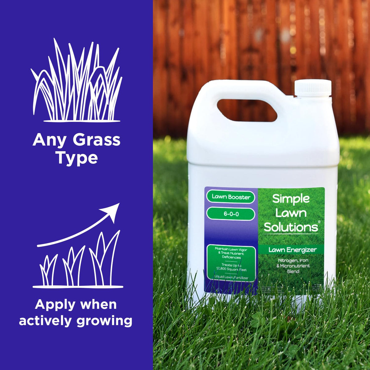 Commercial Grade Liquid Grass Fertilizer with Nitrogen, Iron, Micronutrients 1 Gallon R296855