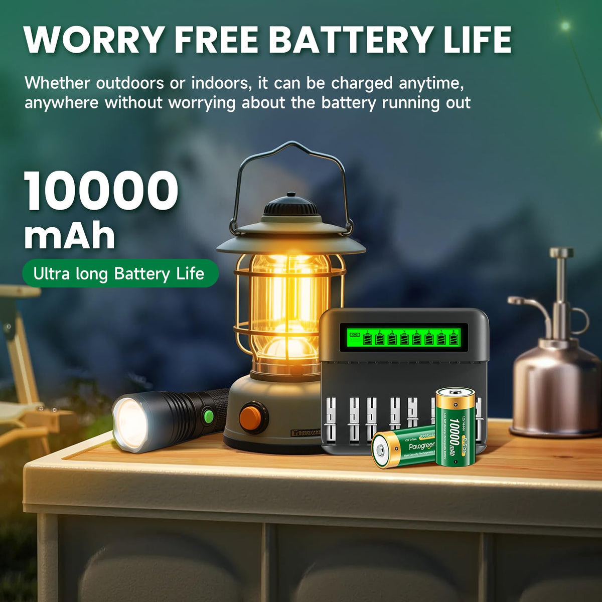 Rechargeable D Batteries with Charger T78355
