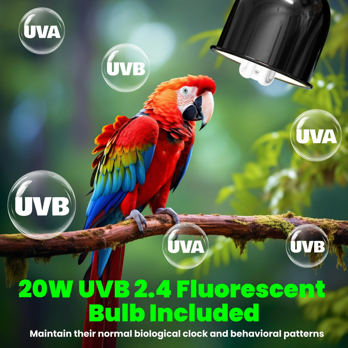 Deep Dome Lampshade with 2.4% UVB Bulb 20W W153698