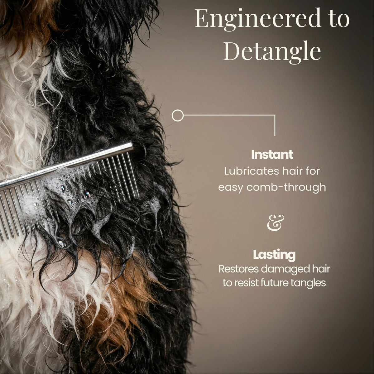 Lavender Dog Shampoo and Conditioner 16oz H89069