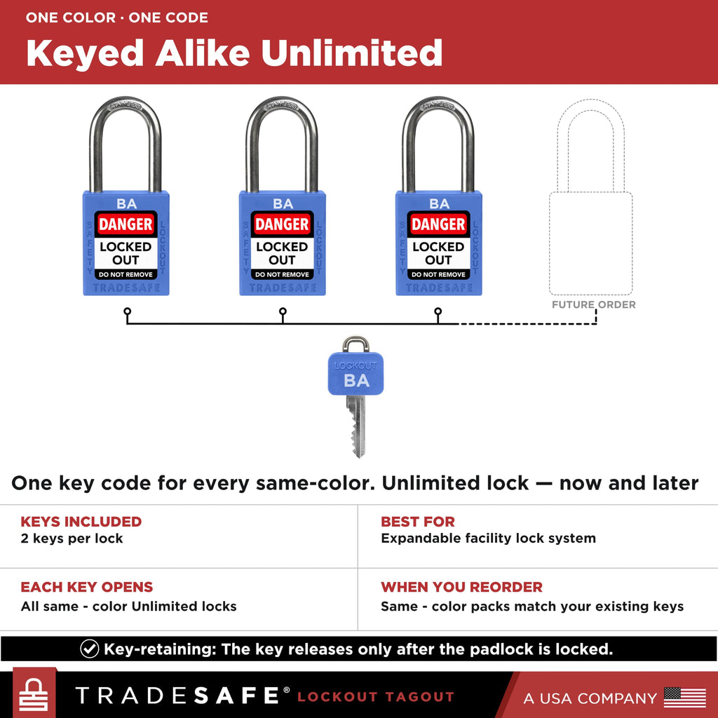 10 Blue Keyed Alike Locks T45589
