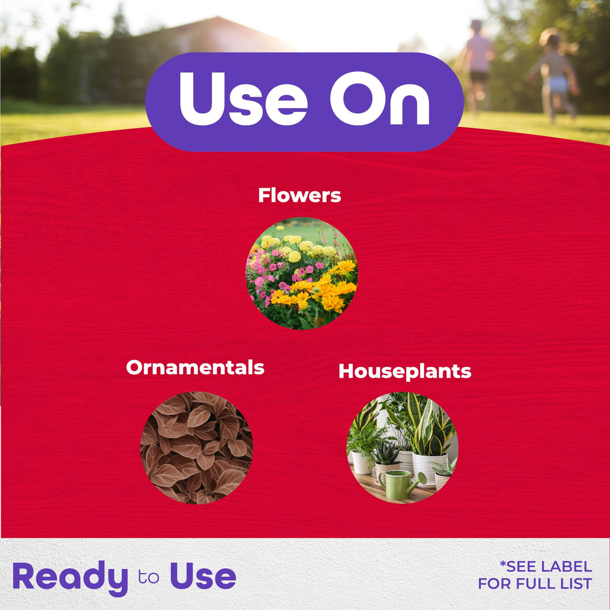 Insect Control Systemic Granules 4 lbs R458911