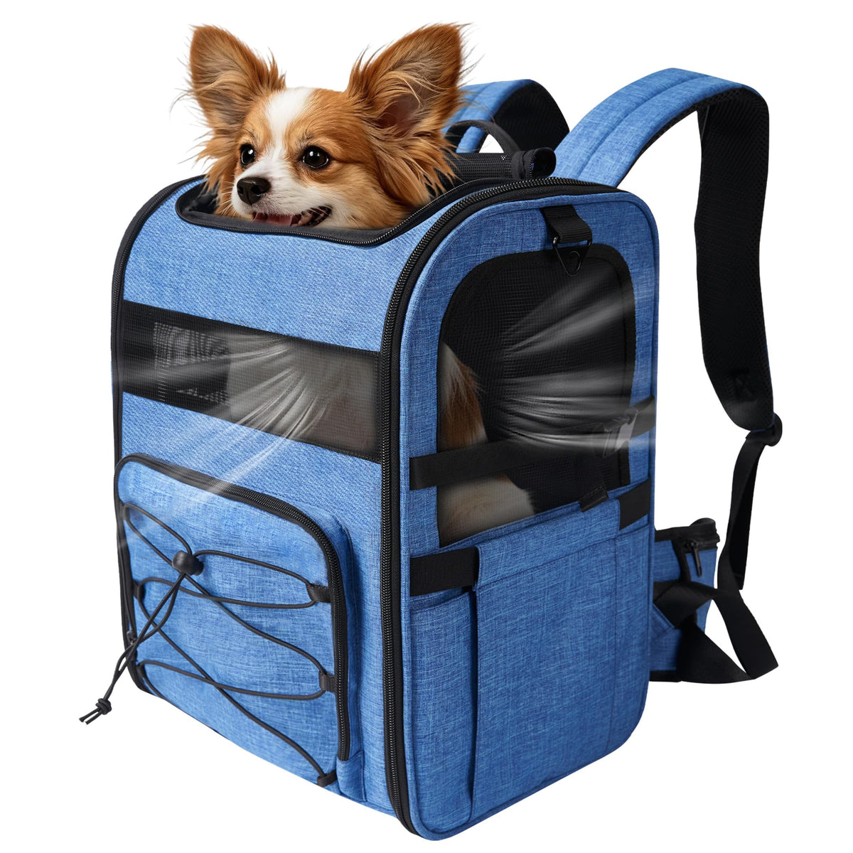 Blue Pet Carrier Backpack R671245