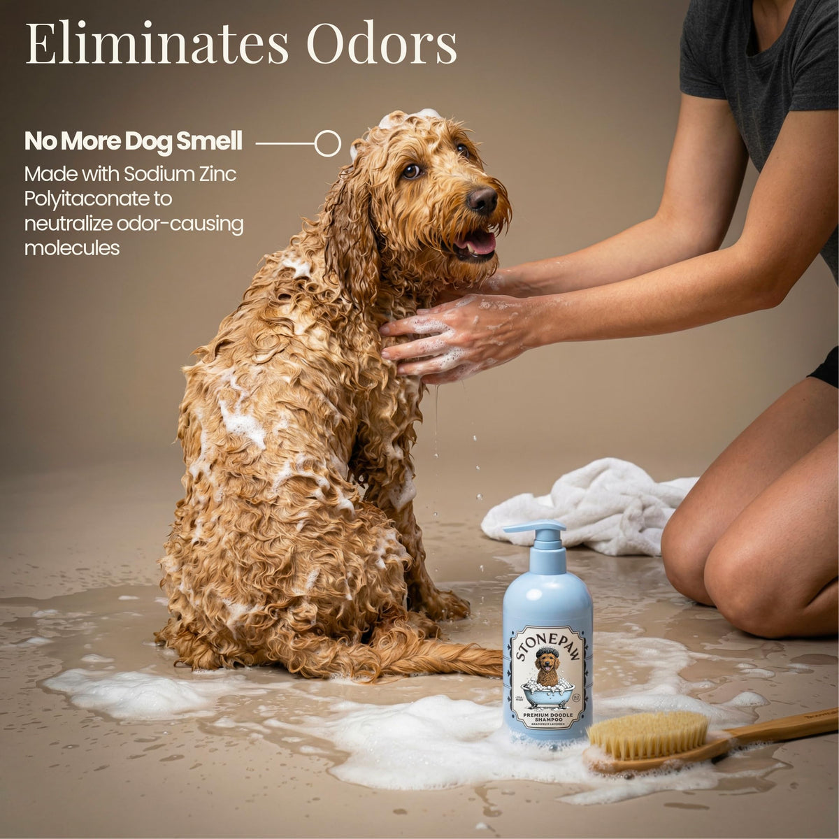Lavender Dog Shampoo and Conditioner 16oz H89069