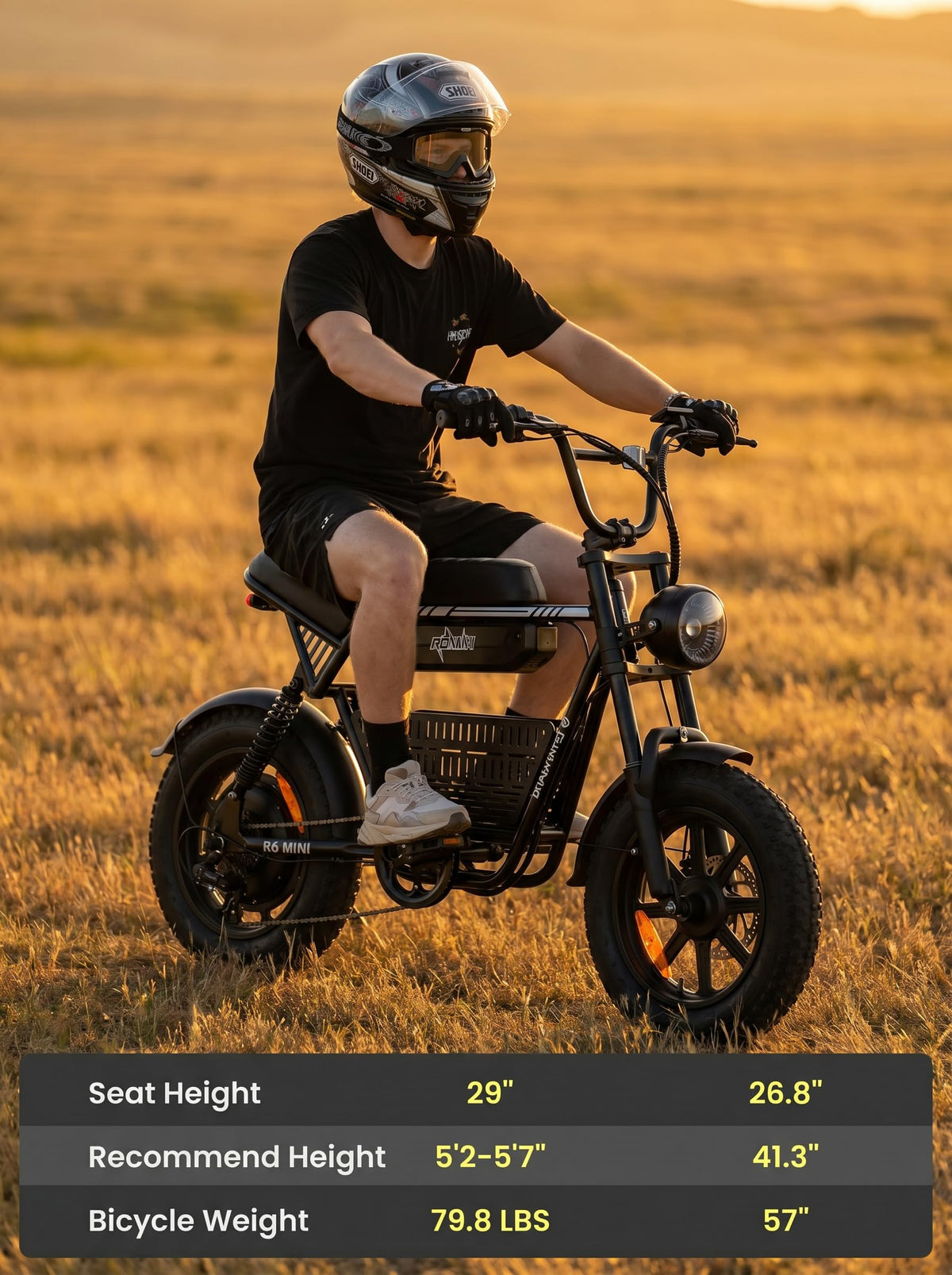 1000W Fat Tire Electric Bike with 48V 13Ah Battery Y316