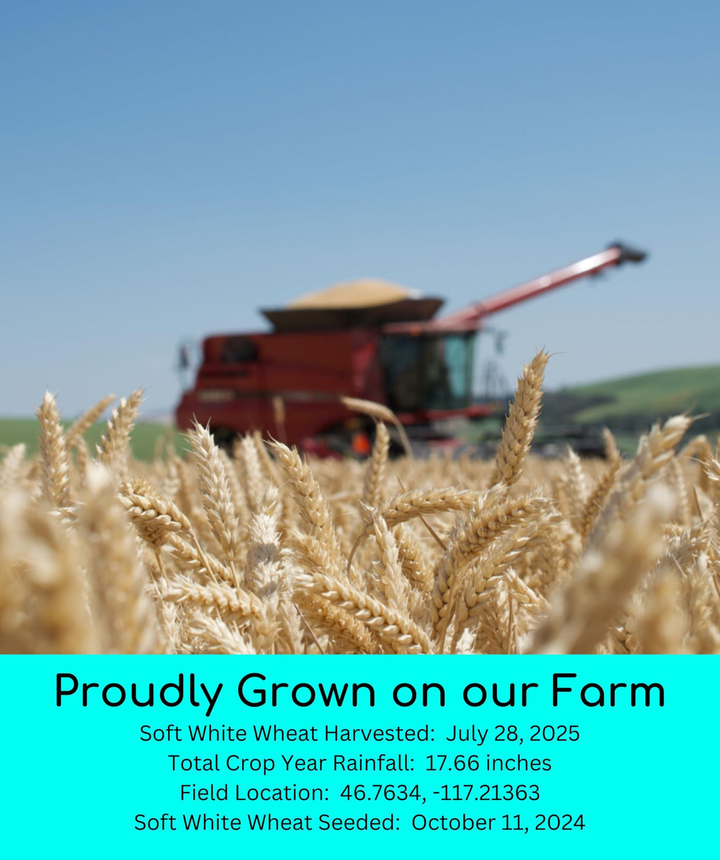Hard Red Winter and Spring White Wheat Berries 100 LBS A89720