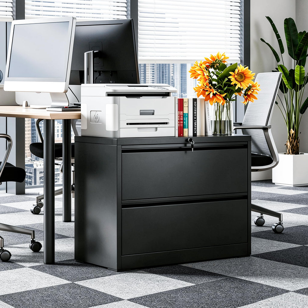 Black 2 Drawer Metal Lateral File Cabinet with Lock J52857