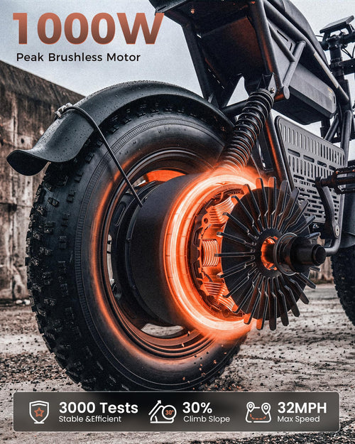 1000W Fat Tire Electric Bike with 48V 13Ah Battery Y316